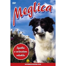 Meglica