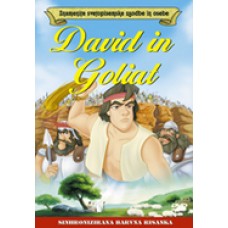 SVETOPISEMSKE ZGODBE - David in Goliat